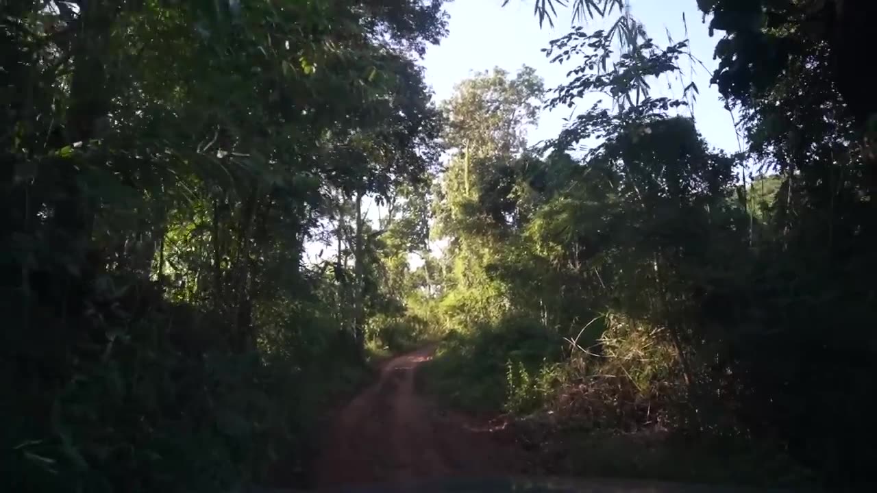 Surviving 3 Days Using Only 1 PESO (THAILAND EDITION) - DAY 2