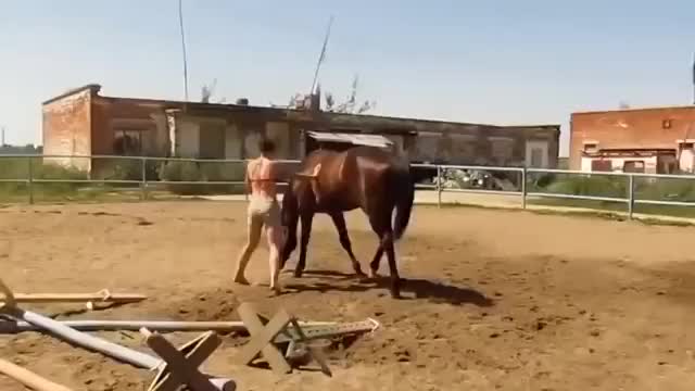 The horse surprised the girl, hahaha