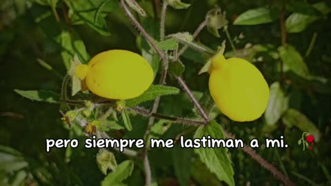 Frases motivación 🌛