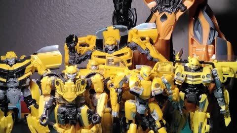 Never mess with bumblebee here's why