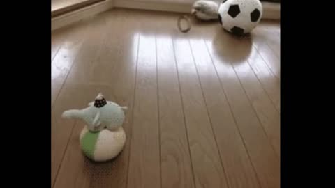 63.Gotta go.... fast.
