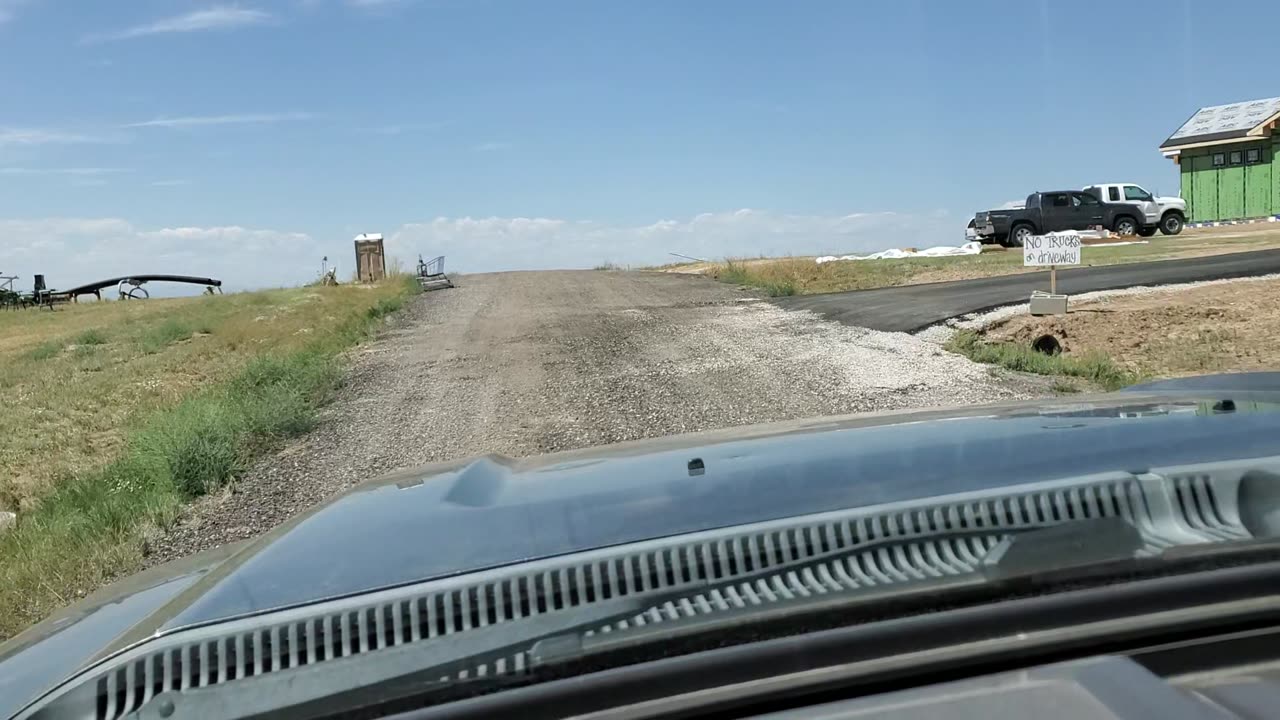 Sunflowers on way to house