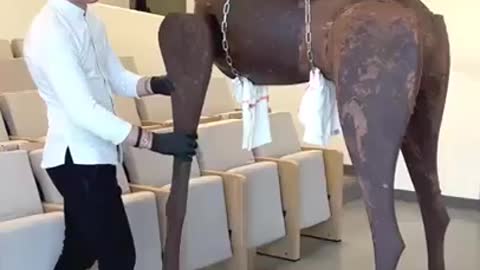 Chocolate construction