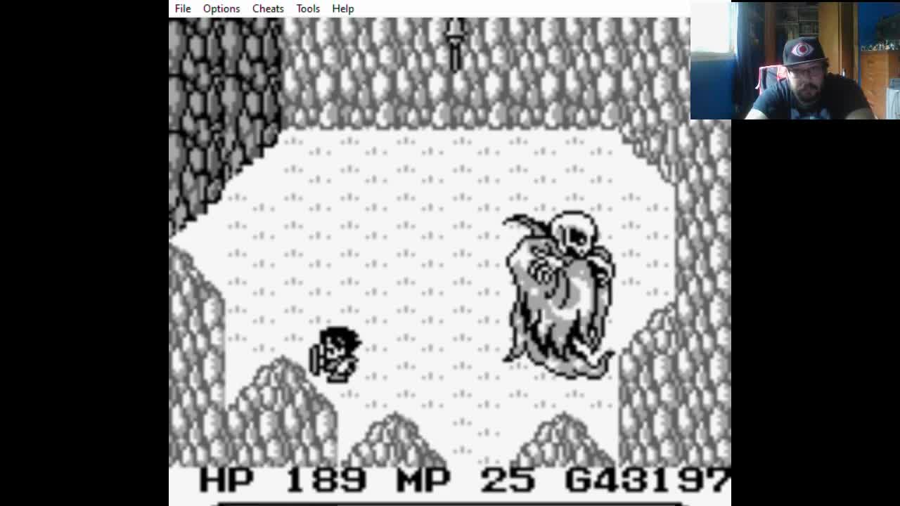 ZuperNEZ Plays Final Fantasy Adventure Part 12