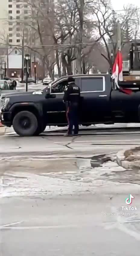 Gestapo Edmonton, Canada, police arrest anyone who honks or displays the flag