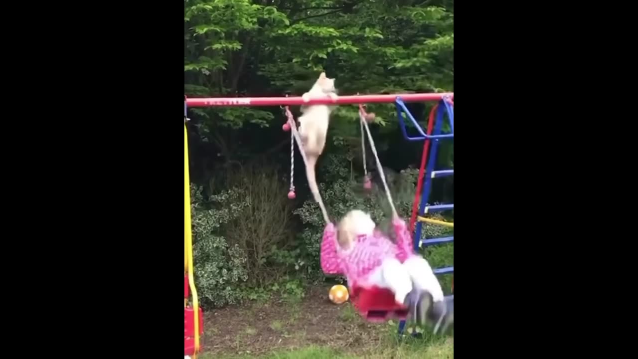 try not to laugh