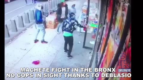 Machete fight in the Bronx NY. No cops in sight since Deblasio defunded the Police