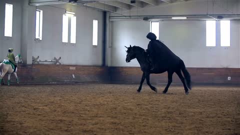 Lord Sauron Masquerade Riding On Horse
