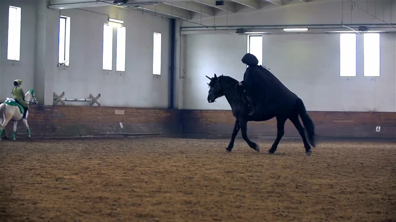 Lord Sauron Masquerade Riding On Horse