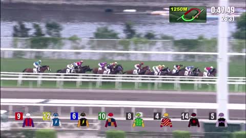 Horse_Race_2022052211_Chinese