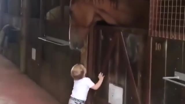 BABY & HORSE