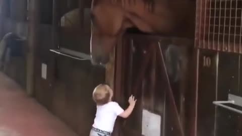 BABY & HORSE