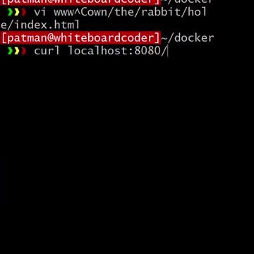 docker: run nginx with a bind mount point