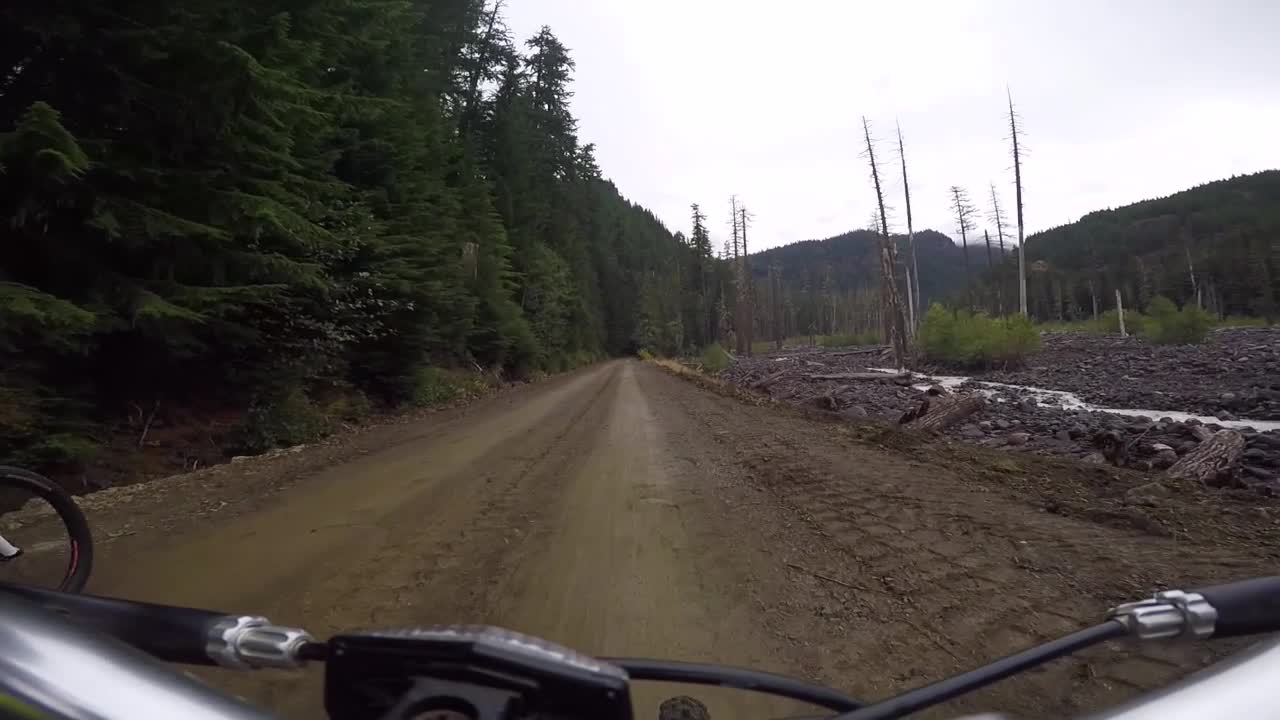 Mount Rainier Experience - Biking the Westside Road