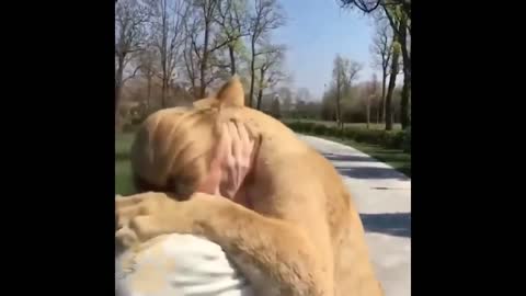 Animals That Dont Forget Their Owner After Years - Animal Lover