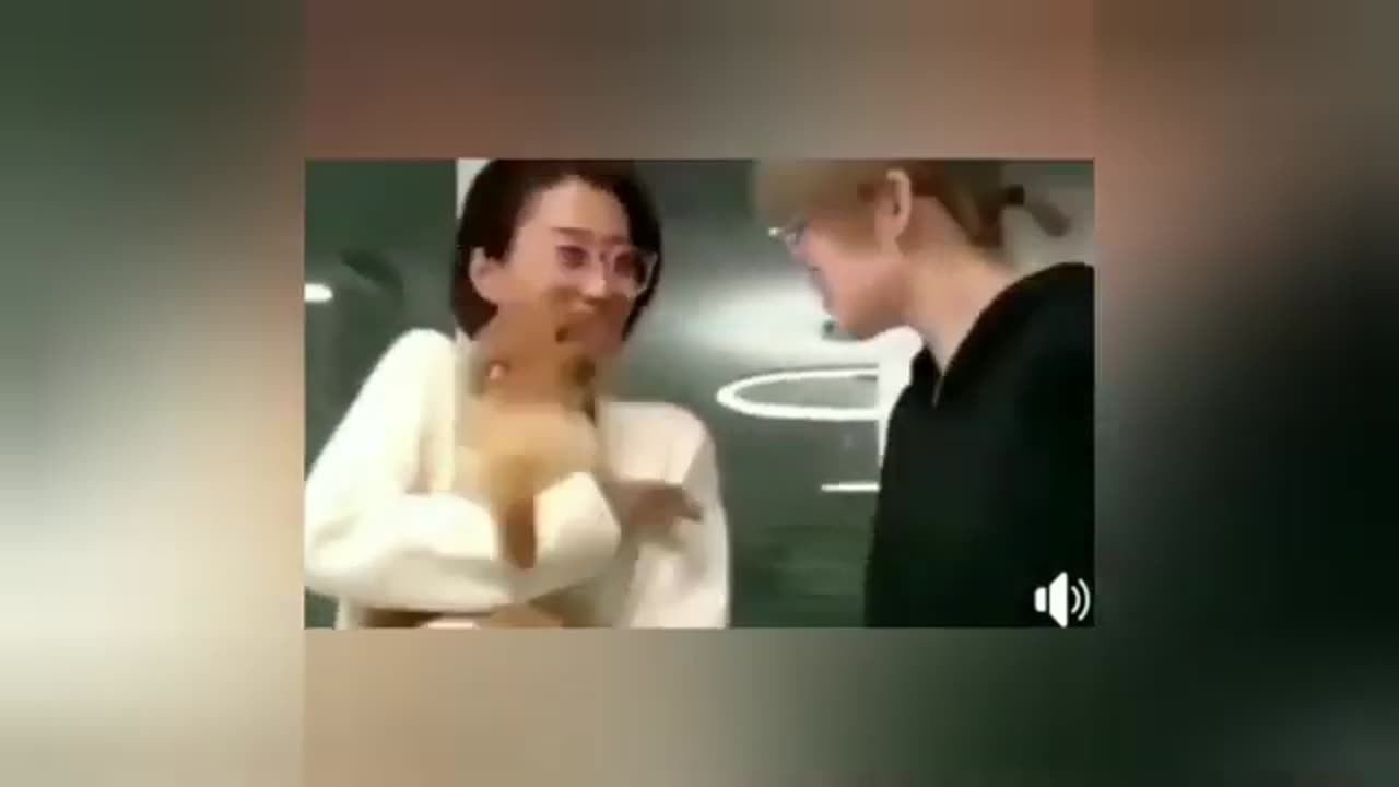 Animals funny moments 😺