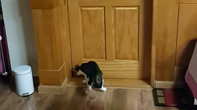 The door is closed to open