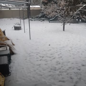 snow day in Idaho Falls