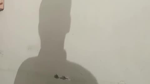 Jeene Ke Hai Chaar Din From Mujh Se Shaadi Karogi