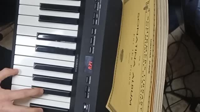 Bridge over troubled water piano cover