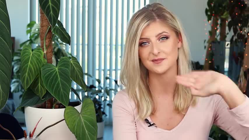 How to Rehab Plants