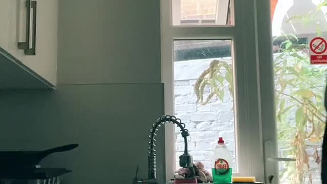 Now You Saying We Shouldn't Cook Anymore!