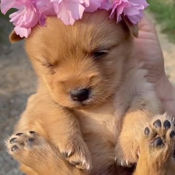 Look so pretty my bab