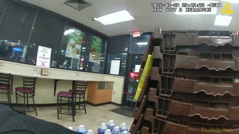 Bodycam shows Warren police tase suspect and dog inside a convenience store