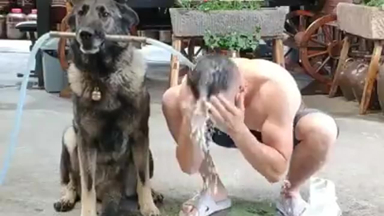 Smart Dog Help People 😍