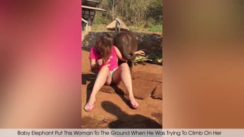 Funny video 📷📸