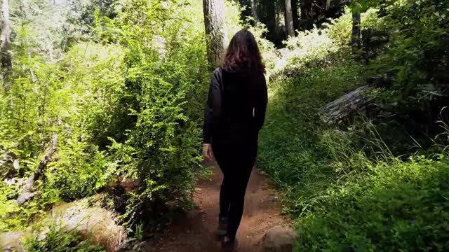 Woman walking in the woods