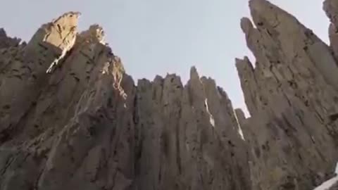 Amazing stunts of duck chicks falling from mountain