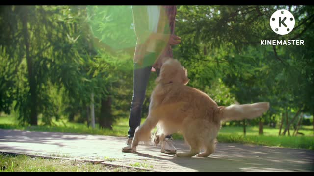 # dog playing with cute girl