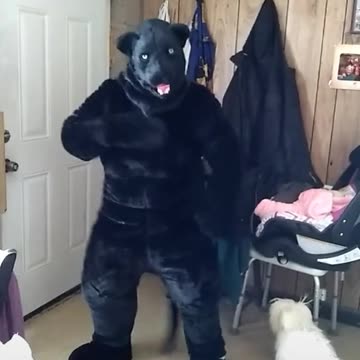 Tito telling Panther to show it off