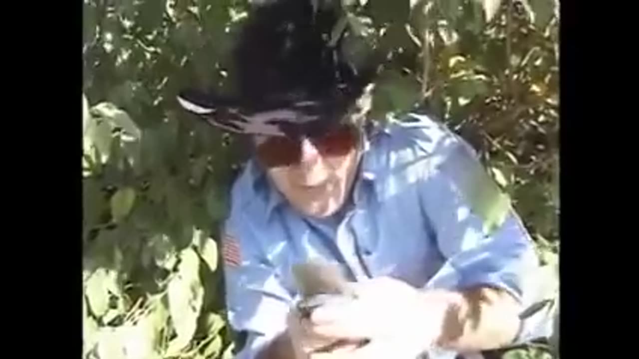 Gooks of Hazzard