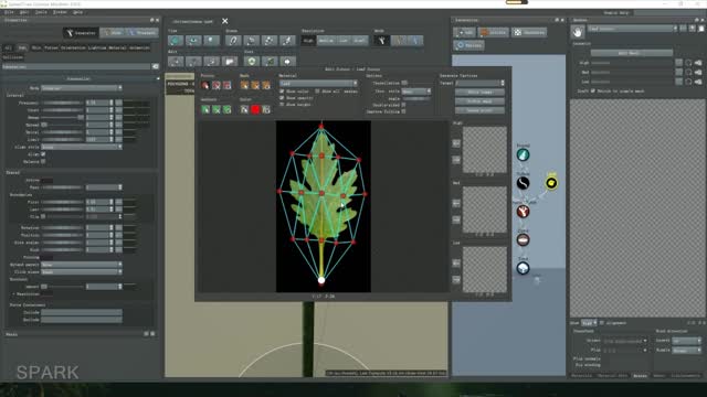 Chrysanthemum Leaf Modeling