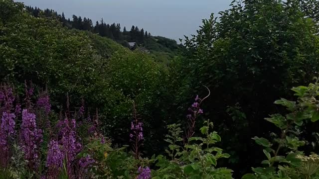 The Communist Chinese WILL NOT STEAL this land, Christians are praying.
