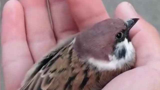 Good Day Guys🐦🍁