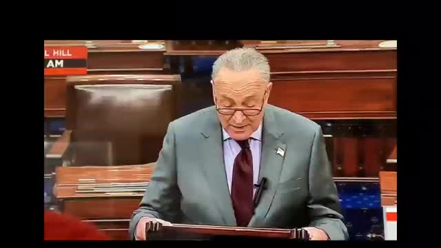 Schumer says Trump incited...errection?