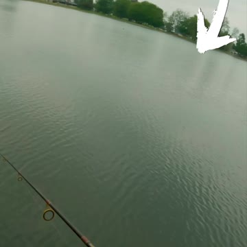 The Best (Unknown) Jerkbait!? Intense Fishing!