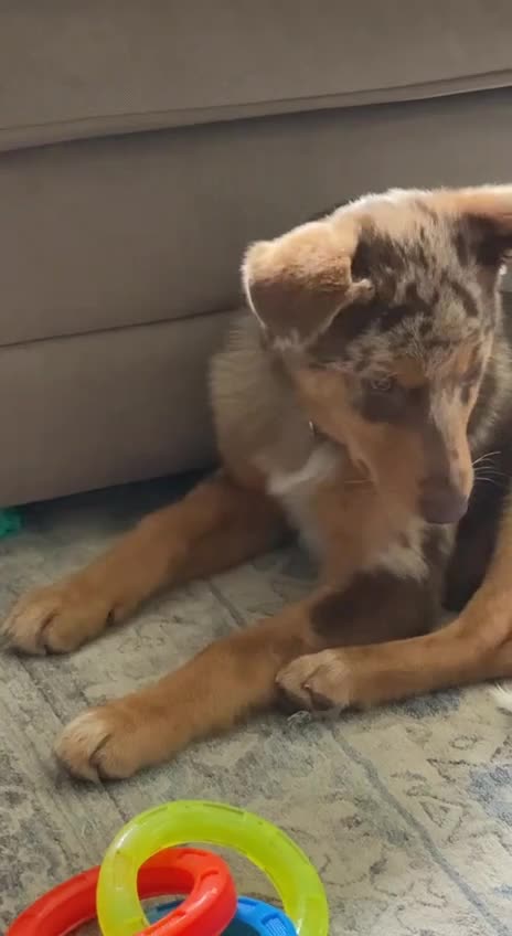 As with all great things in life