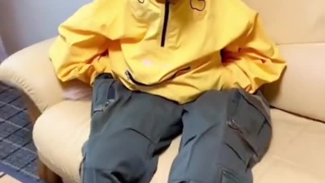 Always looks like he's waiting on you to get your shoes on.