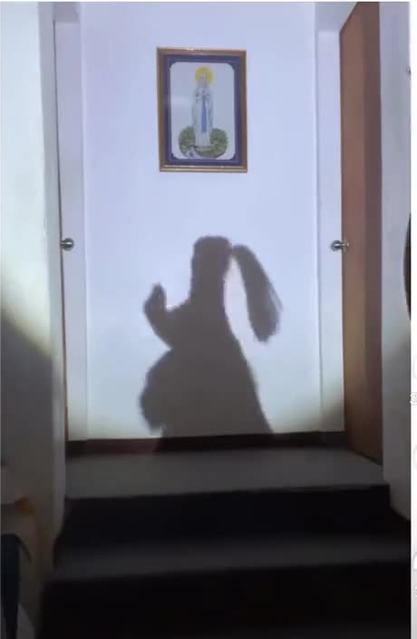 Shadow dance