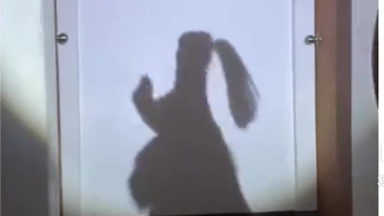 Shadow dance