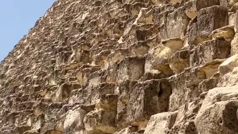 Doggy on the pyramid of Giza