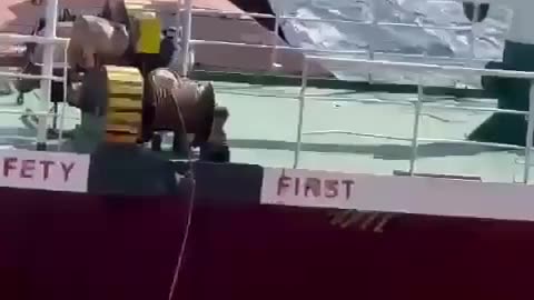 The_black_sea_inspection
