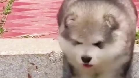 Me when a minor inconvenience happens...