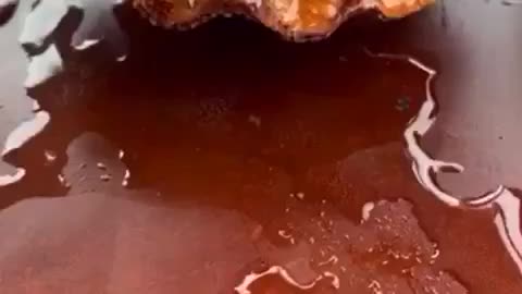 A concha que gosta de cerveja