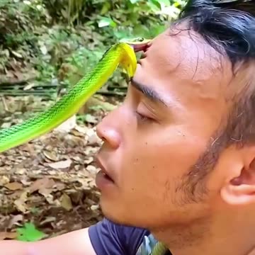 The green snake bit his fore head.