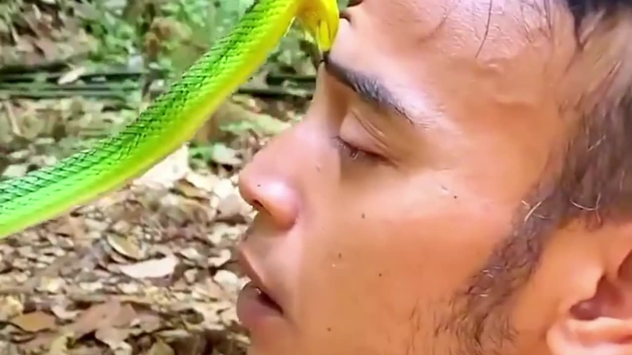 The green snake bit his fore head.